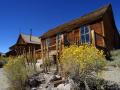 background: Bodie Sagebrush
